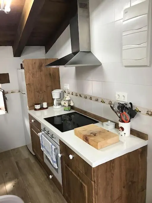 Apartamento Rustico En El Valle De Trapaga La Arboleda Zugaztieta